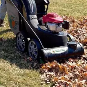 Leaf & Debris Removal